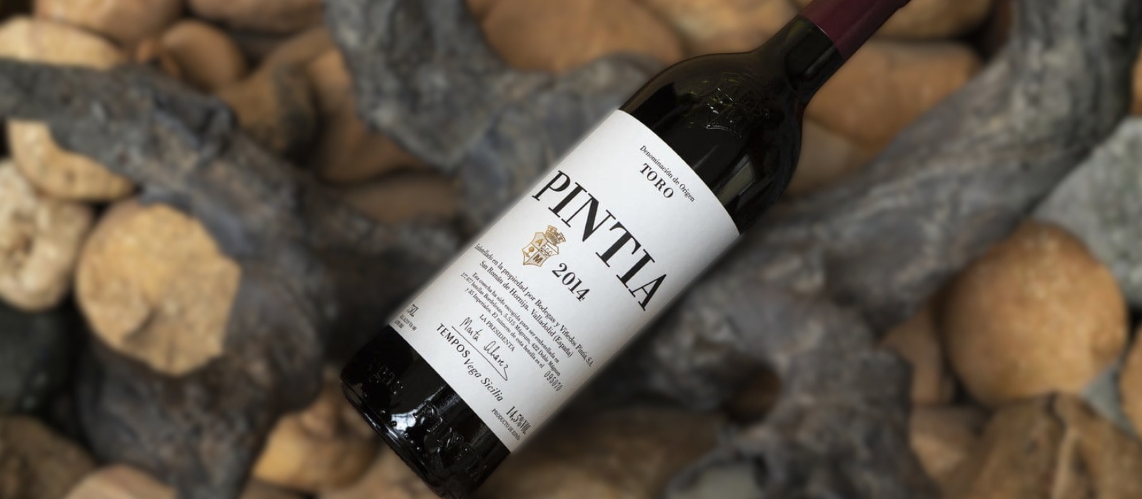 Pintia — vinho da família Vega Sicilia na DO Toro, Espanha